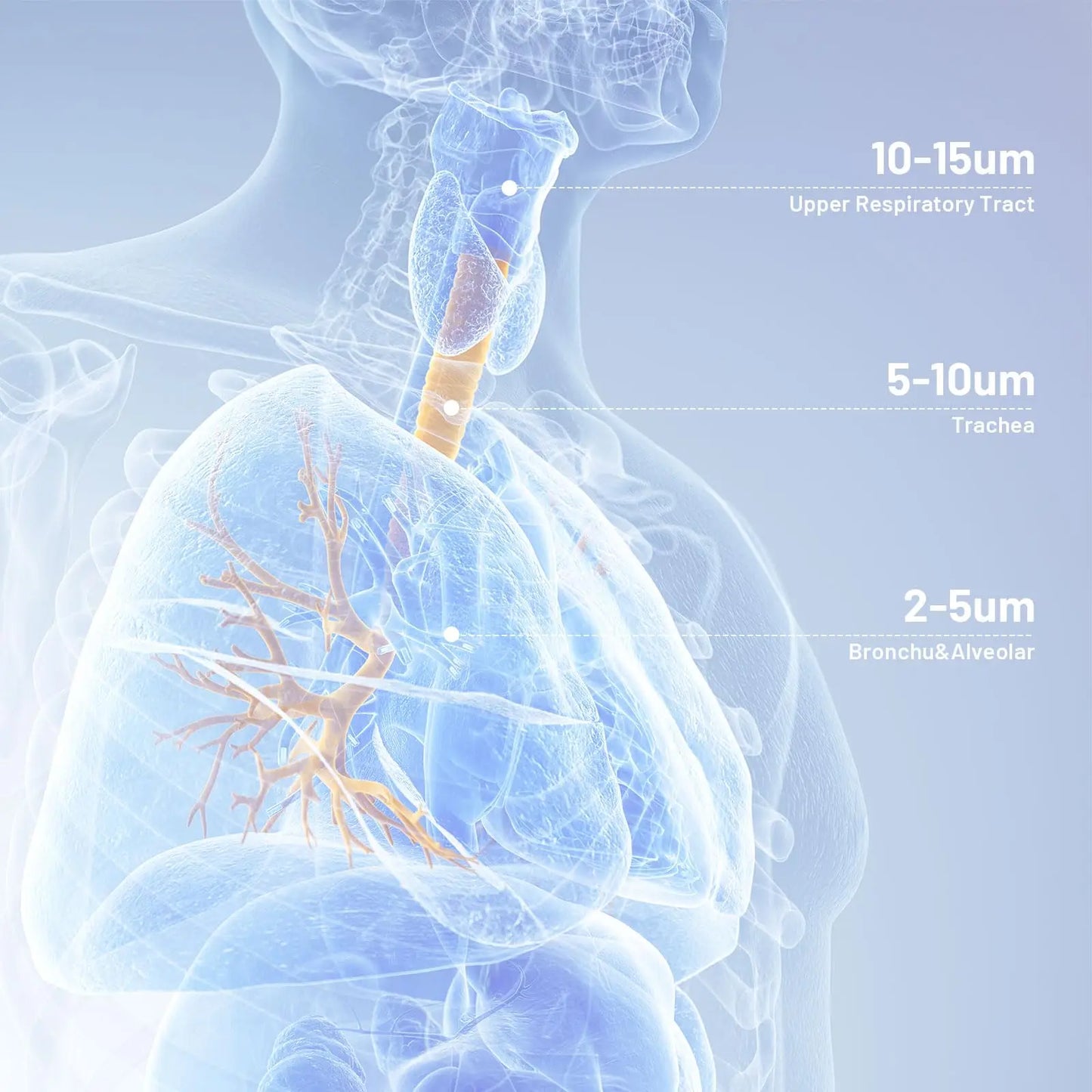Portable Inhaler Nebulizer